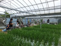 平成２７年９月