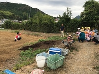 子ども達とジャガイモ定植