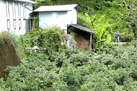 ユズドローン散布