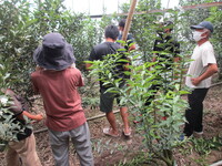 【情勢報告】中央東8月