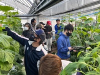 キュウリ若手現地検討会