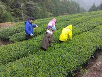 令和5年9月高吾情勢報告