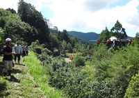 ドローンでユズを散布