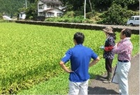 お米のコンクール出品に向けて