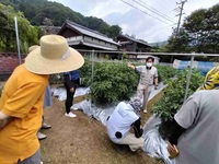 令和5年7月高吾情勢報告