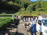 秋整枝講習会の様子