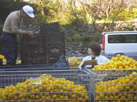 １１月情勢報告