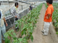 １０月情勢報告