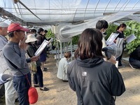 現地検討会の様子