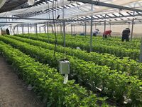 普及活動情勢報告　令和３年１月