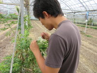 平成２９年７月