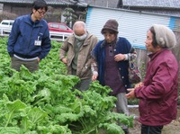 ナバナ目慣らし会