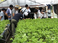 平成３０年８月