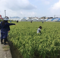 普及活動情勢報告　平成２９年１０月