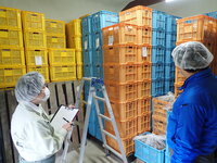 令和４年１月高吾情勢報告