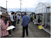 ニラ現地検討会