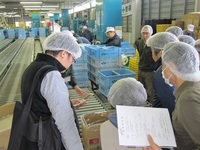 情勢報告4月