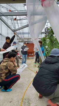 現地検討会