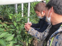 情勢報告２月