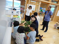 写真１