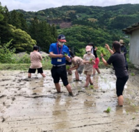 情勢報告5月