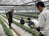 情勢報告5月