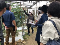 ５月情勢報告
