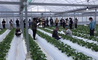 R5年12月高吾情勢報告