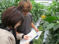 情勢報告4月