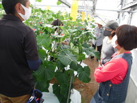 11月情勢報告