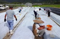 ９月情勢報告