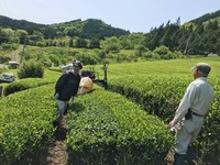 平成30年5月