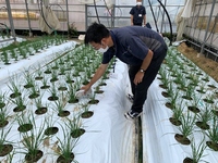 情勢報告7月