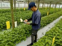 情勢報告7月
