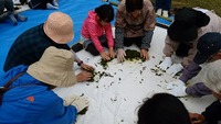 平成２８年５月