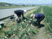 情勢報告５月