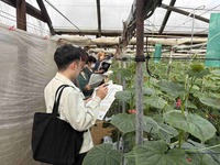 情勢報告１月
