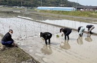 令和8年4月情勢報告