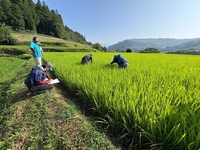 写真１