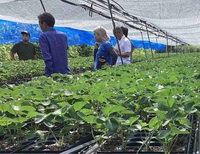 おおきみ現地検討会