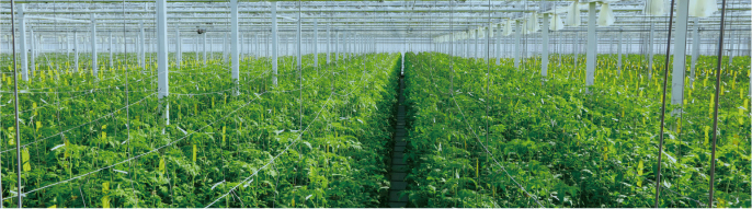 Next次世代Internet of Plants