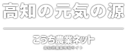 高知の元気の源